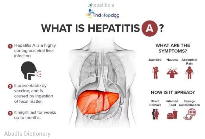 hepatitis a
